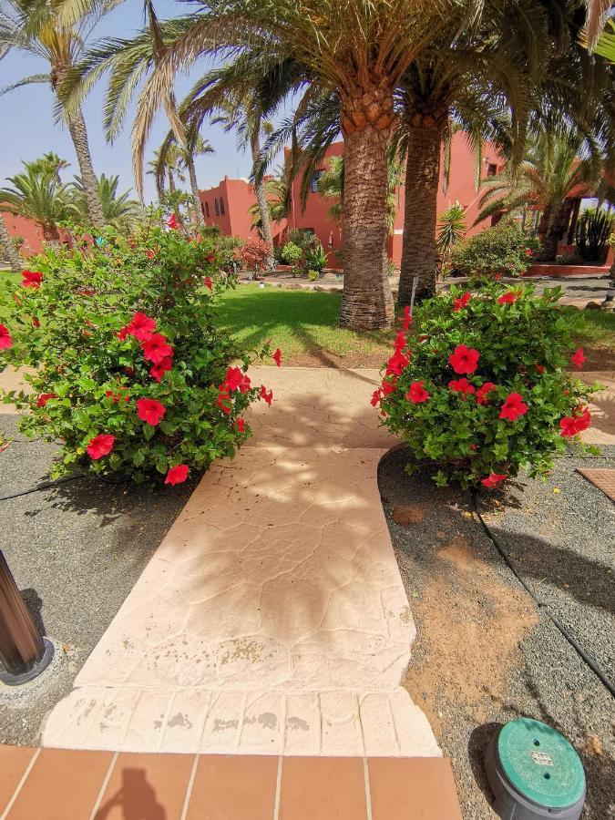 Appartamento Spagnolo Oasis Tamarindo Коральео Экстерьер фото